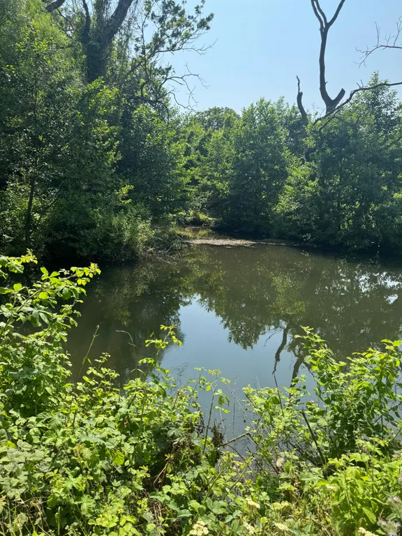 Уютный дом для семейного отдыха прямо у леса