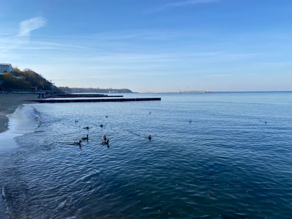 Квартира Квартира Уютный апартамент в Пионерском курорте — Пионерский