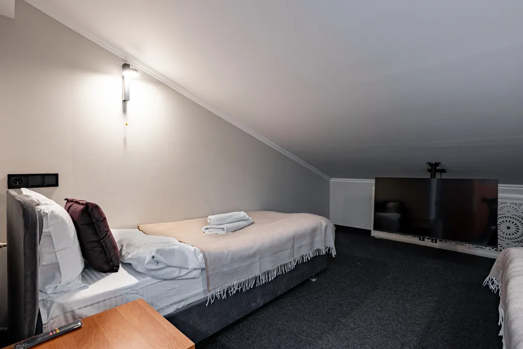 Мансарда двухместная