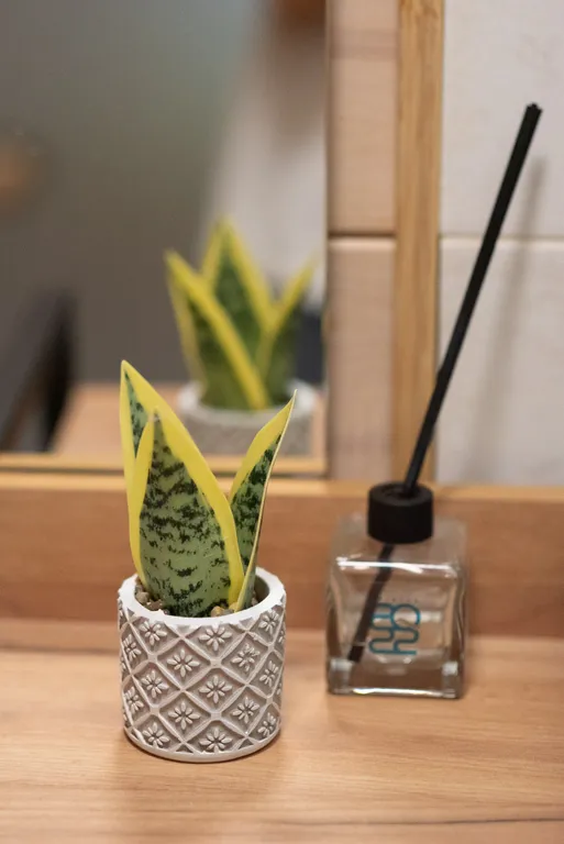 Гостевой дом Сфера для Друзей авторской сауной Henki