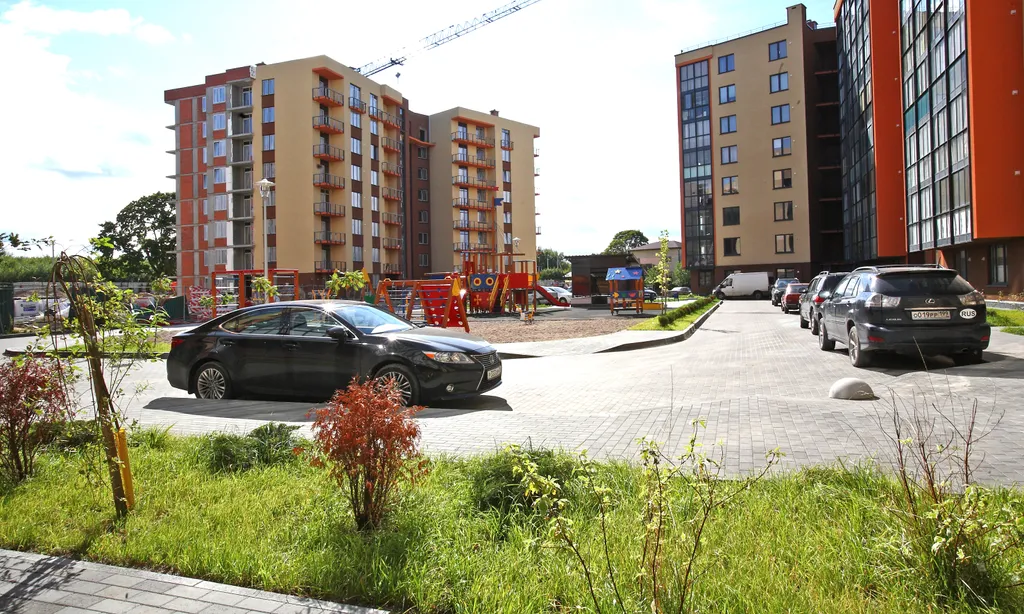 Квартира 1-комнатная Квартира — Светлогорск