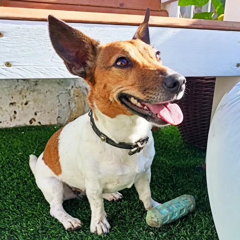 Дом с бассейном на Азовском море Виноград