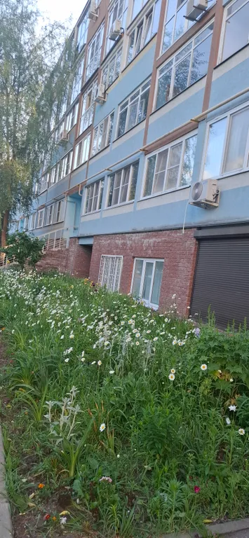 Уютная квартира для туристов и командированных