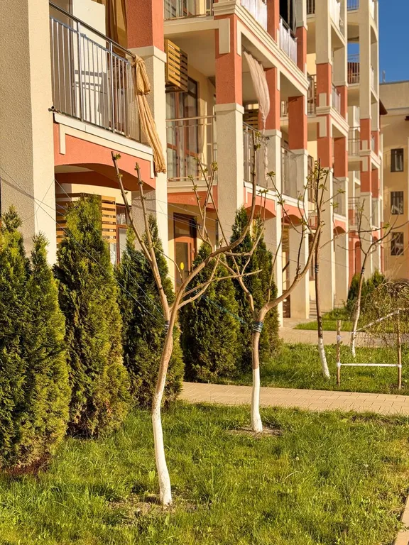 Уютная квартира напротив бассейна со своими лежаками, 7 спальных мест