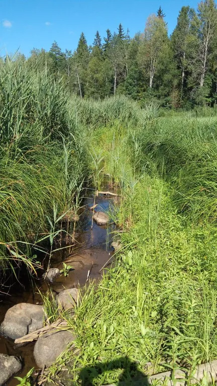 Коттедж Коттеджи у озера — Луга