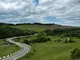 Нелли
