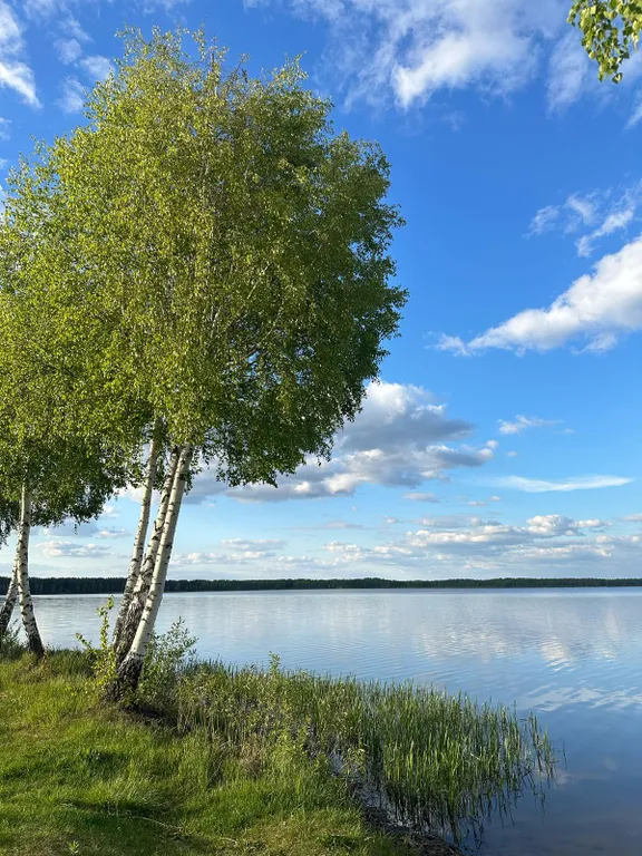 Дом у Белого озера