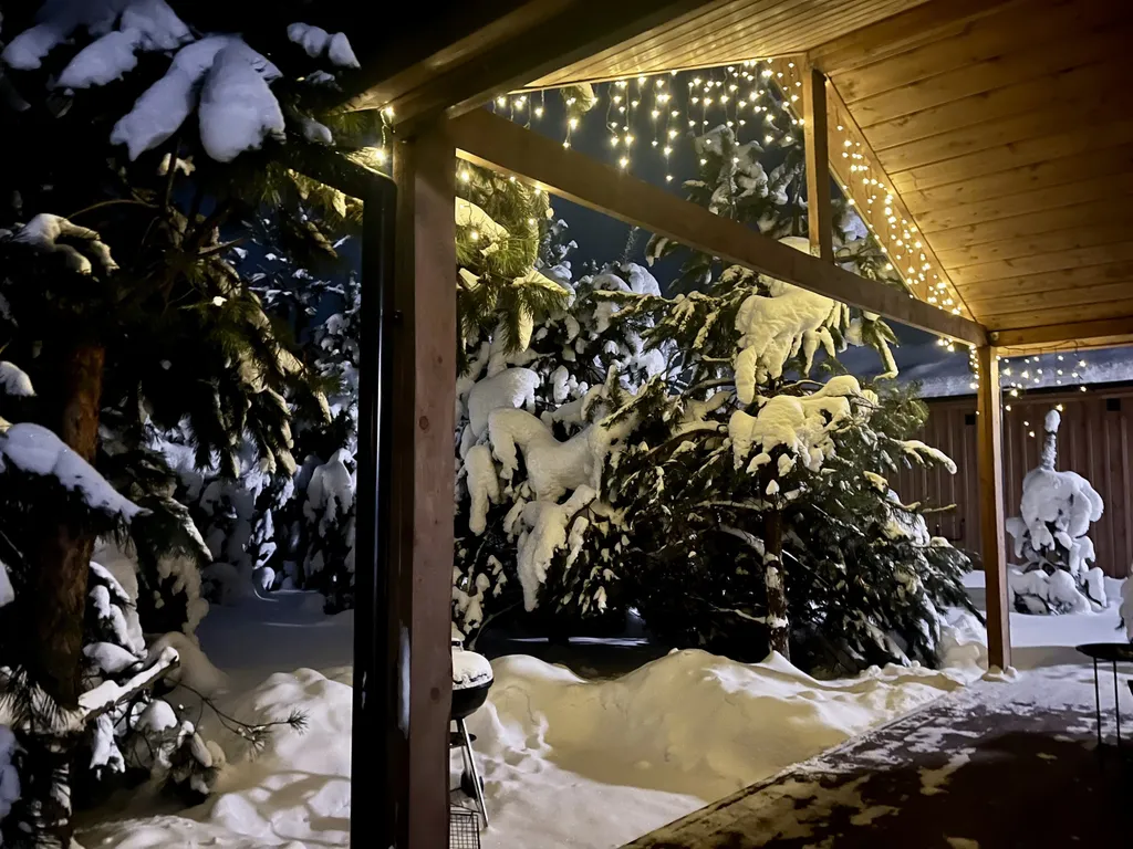 Коттедж 42 метра в лесу у пруда