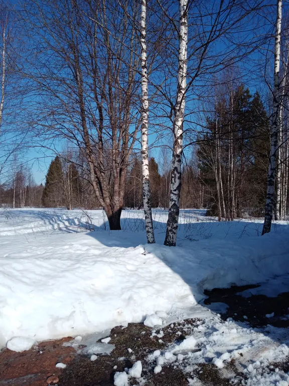 Эко дом Lavstep