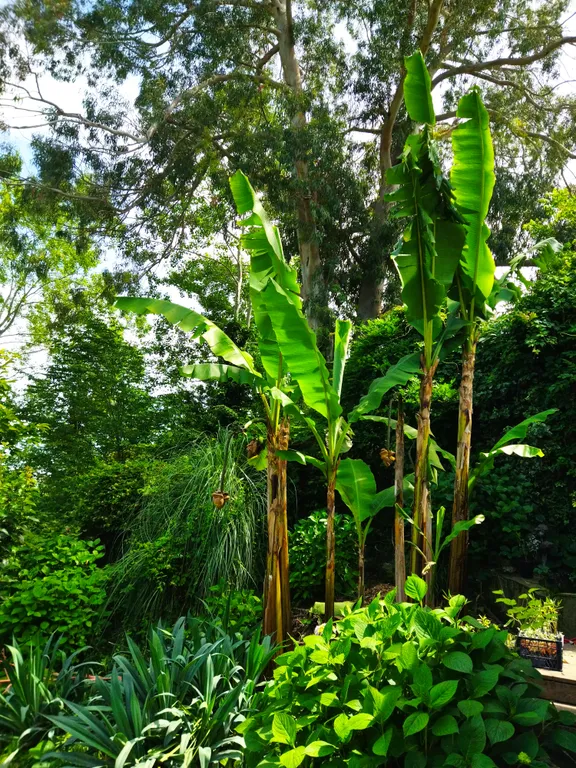 3-комнатная квартира в доме с видом на горы и море