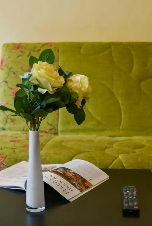 1-комнатная квартира на Планете