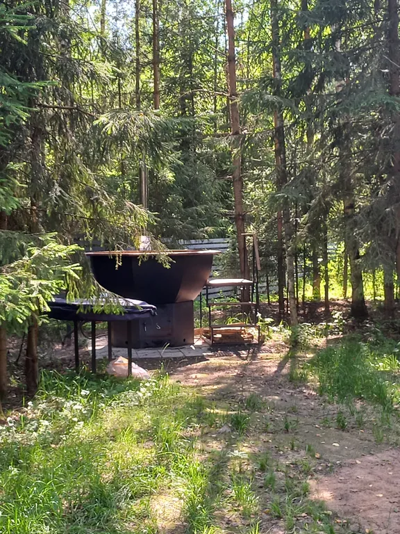 Дом Барин Лес