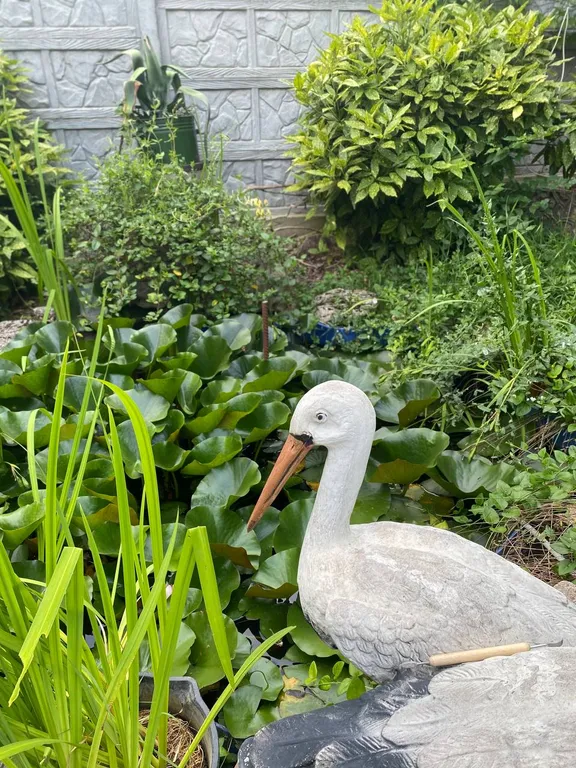 Уютная видовая студия