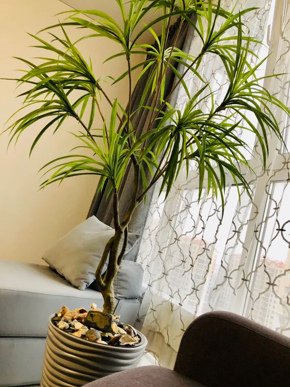 Квартира Квартира студия в Анапе для отдыха на море — Анапа