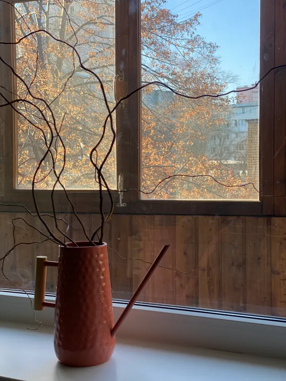 Уютная квартира рядом с лесом и Волгой