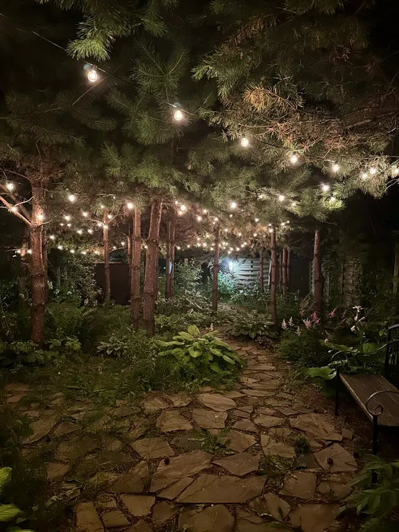 Гостевой фотодом Зазеркалье