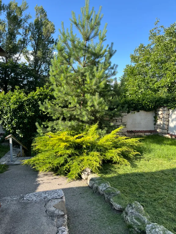 Домик близ Железноводска