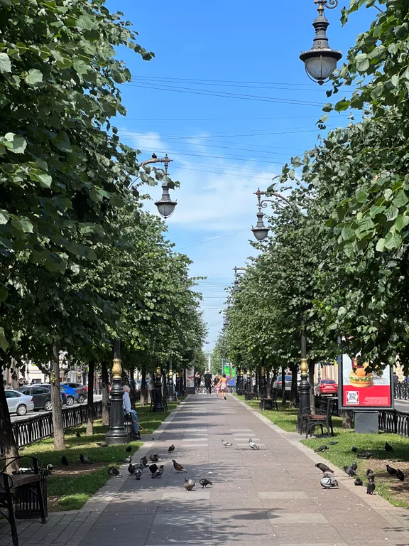 Silena apts