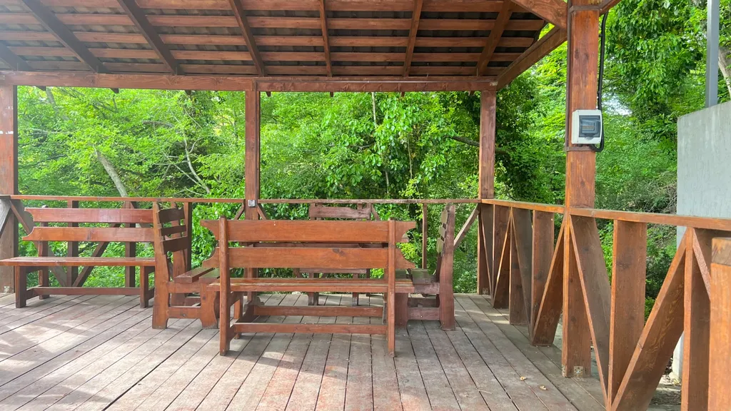 Зеленая студия на море