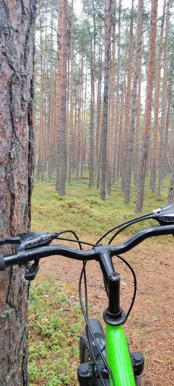 Уютный дом в сердце курорта Коприно