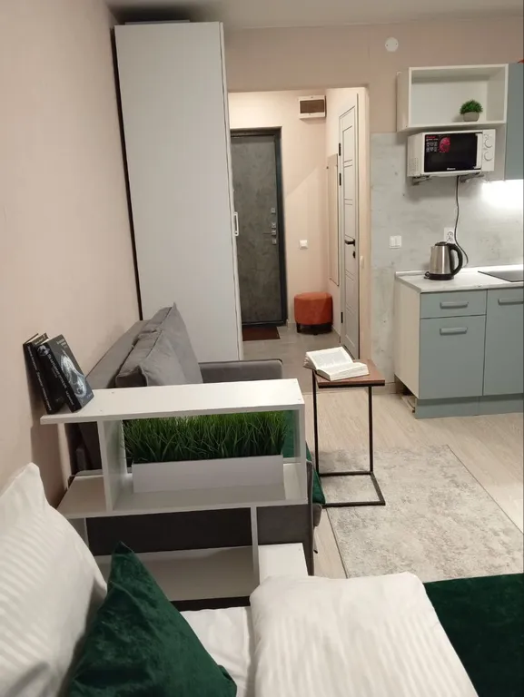 Уютная студия в ЖК Ёлки