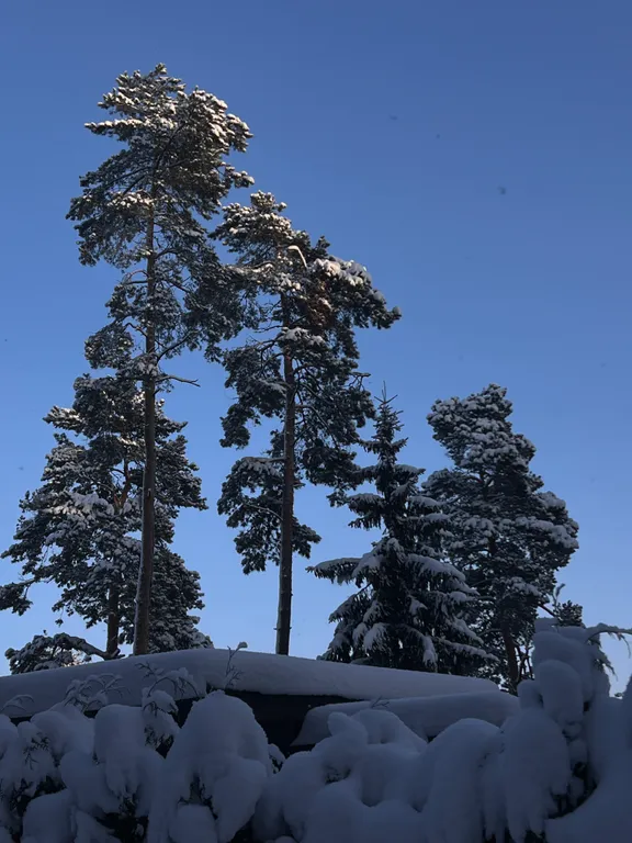 Коттедж Дом на пляже Ладожского озера — им. Морозова