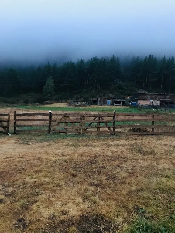 Уютный домик под лесом