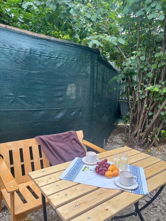 Двухкомнатный дом площадью 40кв метров