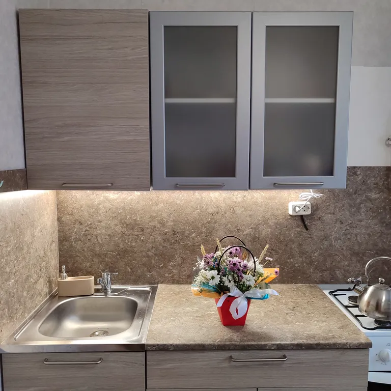 1-комнатная квартира с прекрасным видом