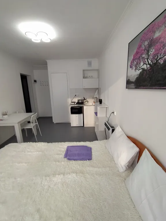 Одна из четырех в квартире мини- студия Виолет