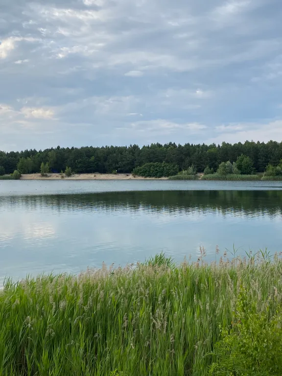 Деревенский дом с баней и террасой на берегу водоема