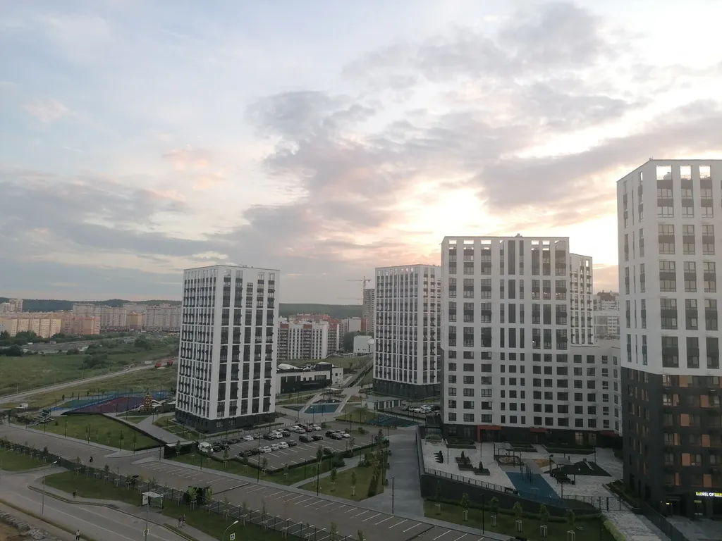 Просторная студия с видом на лес