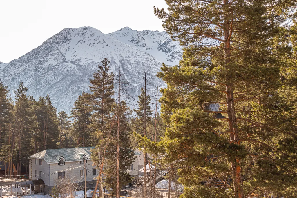 3-комнатная квартира Premium