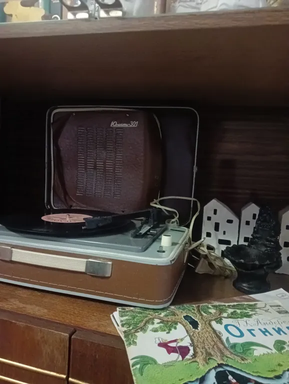 Уникальная квартира с раритетами