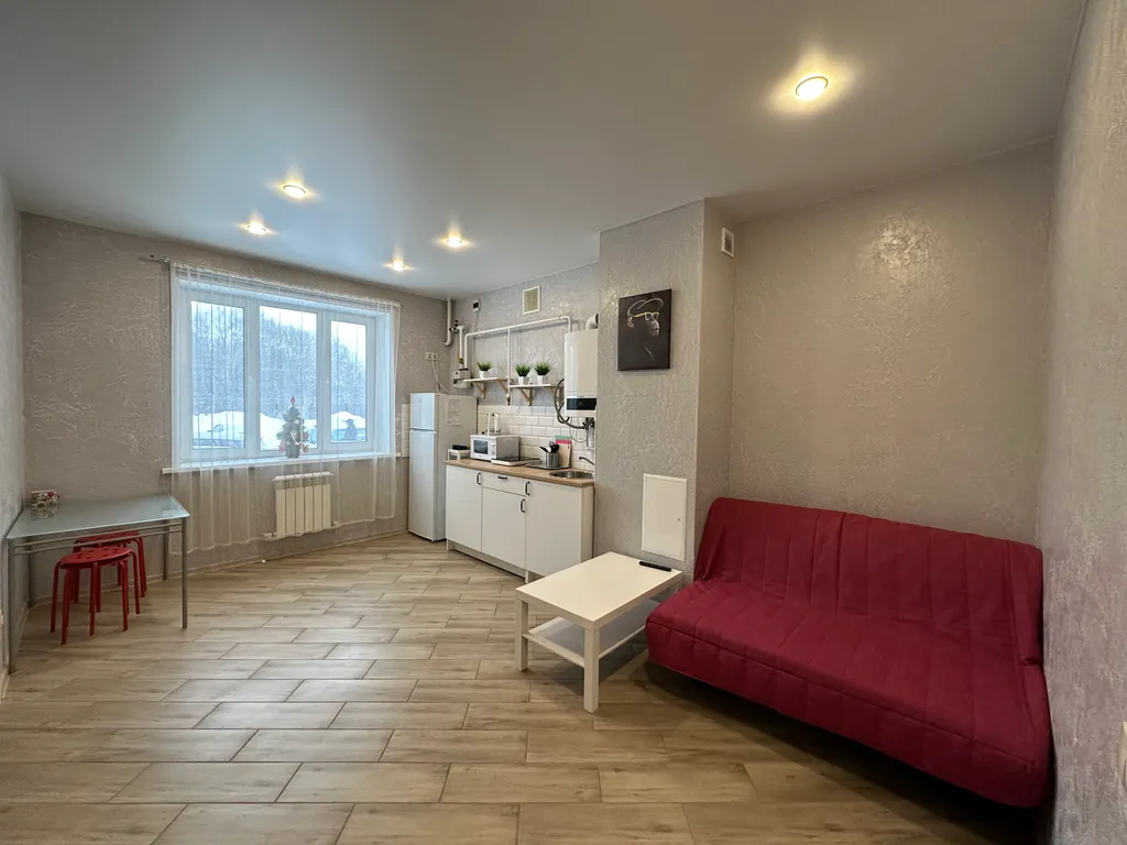 Уютная квартира у горнолыжного курорта Сорочаны