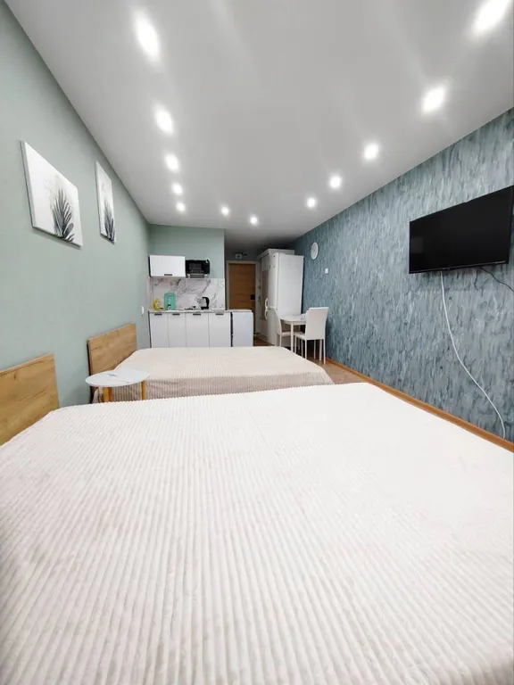 Светлая гостинка, свежий ремонт, 4 спальных места