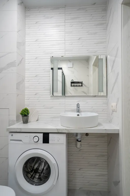 Рыжик в Приморском районе