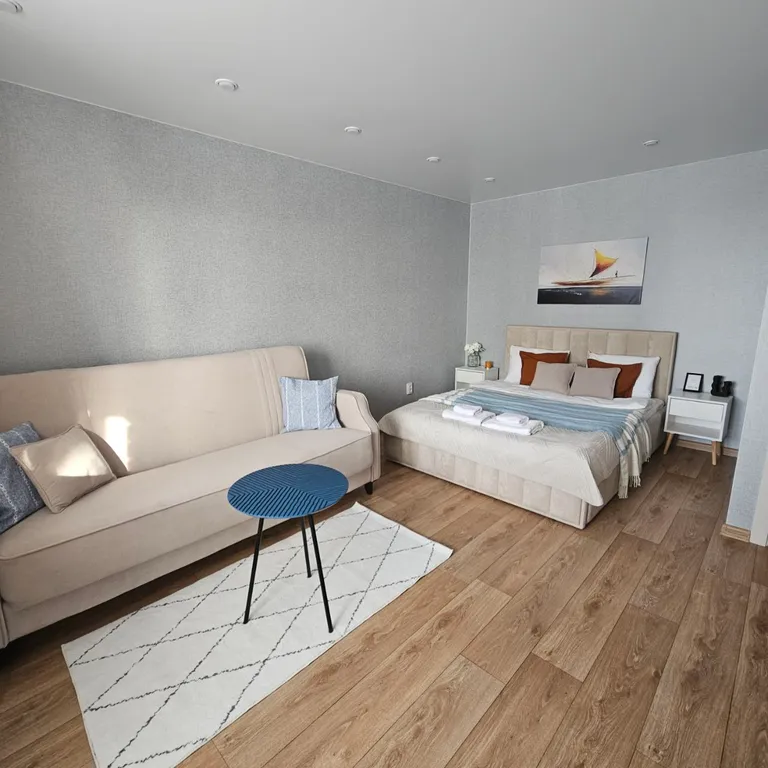 Однокомнатная квартира люкс