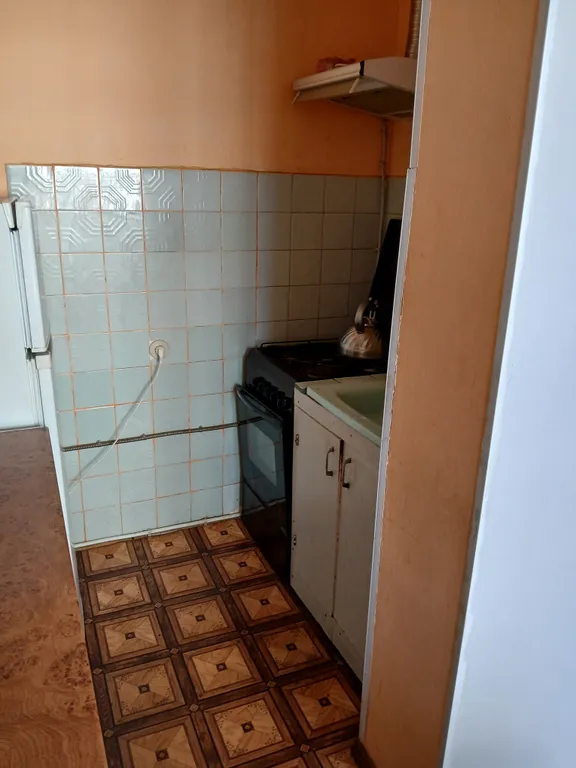 Просторная трёшка для больших кампаний