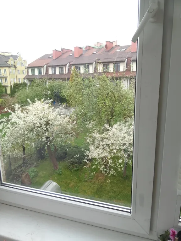 Двухуровневая квартира возле Музея янтаря, верхнего озера, в центре