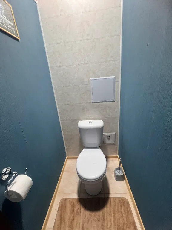 Уютная просторная квартира с видом на лесопарк Пышки