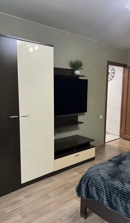 Уютная чистая квартира в центре район Левого берега