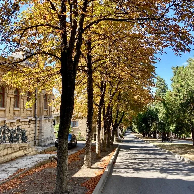 Каштановая аллея