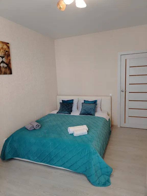 Квартира Евротрешка в ценре — аренда посуточно в Рязань