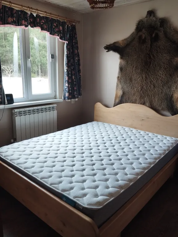 Хутор Избушка на опушке леса, возле реки