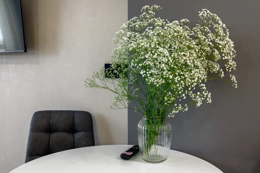 Студия с шикарным видом на Дон