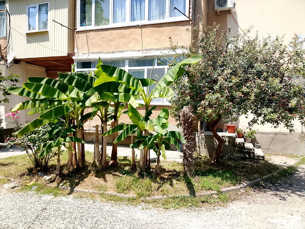 Квартира Комфортабельная квартира в центре курорта — Гагра