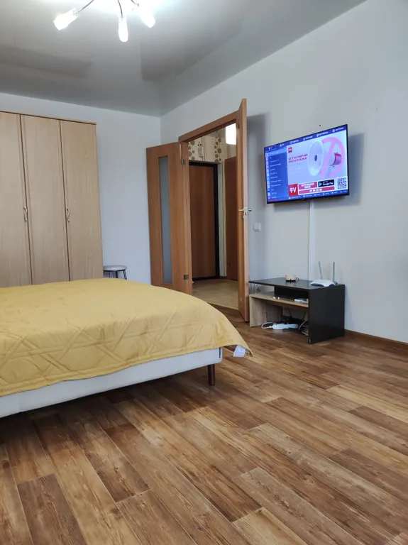 Однушка напротив аквапарка с Алисой