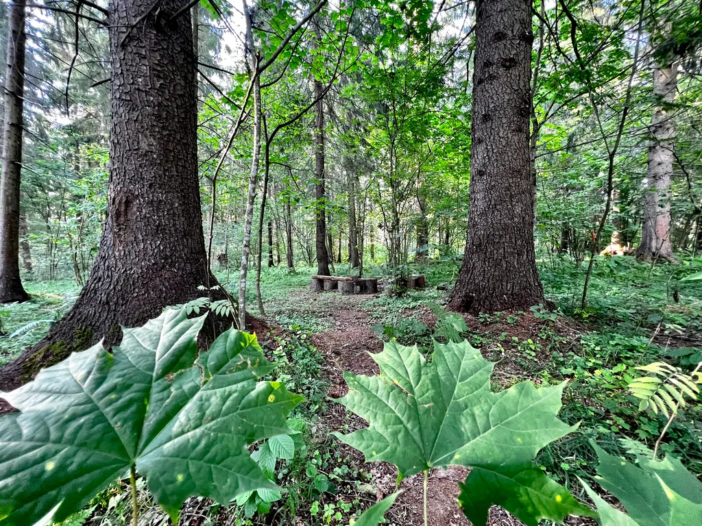 Уютный загородный таунхаус в 18 км от Смоленска рядом с трассой М1