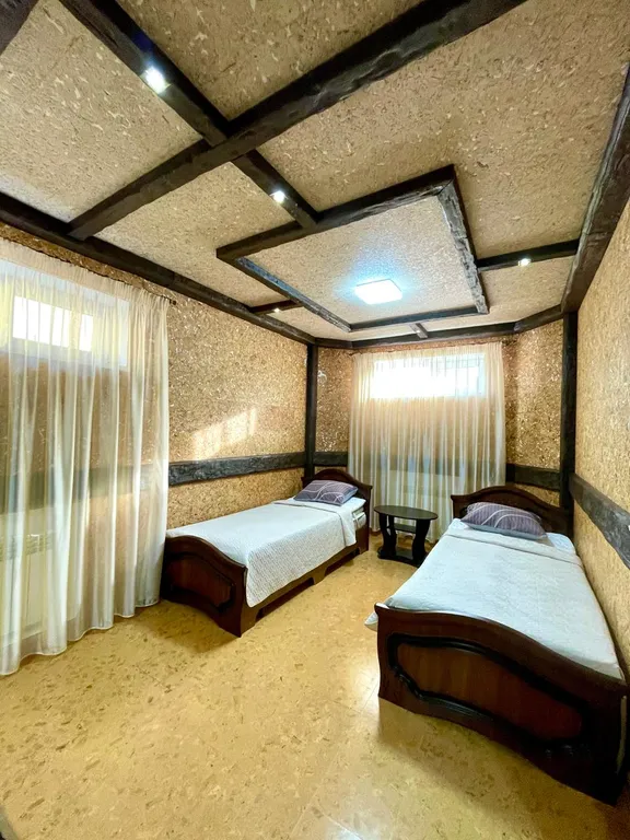 Огромный дом для большой семьи Лоза винограда